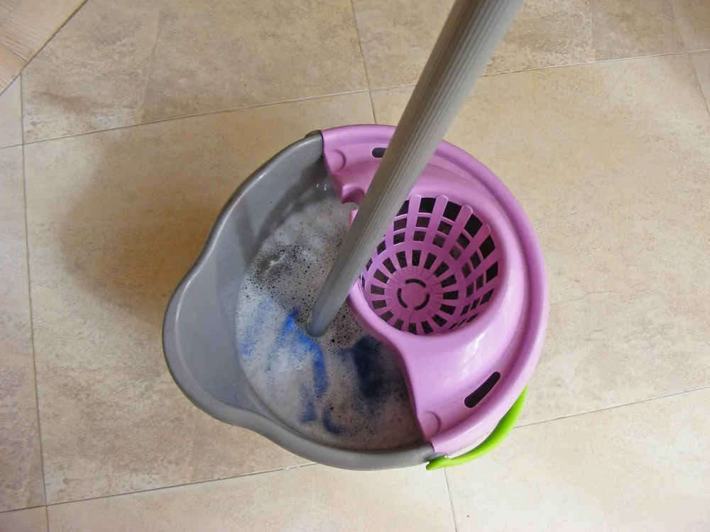 wet floor mop bucket