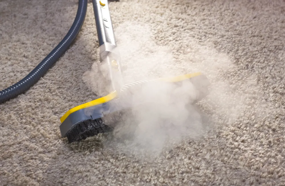 Cleaning carpet with steam mop