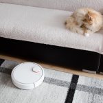Robotic vacuum cleaning the room while cat sits on the sofa