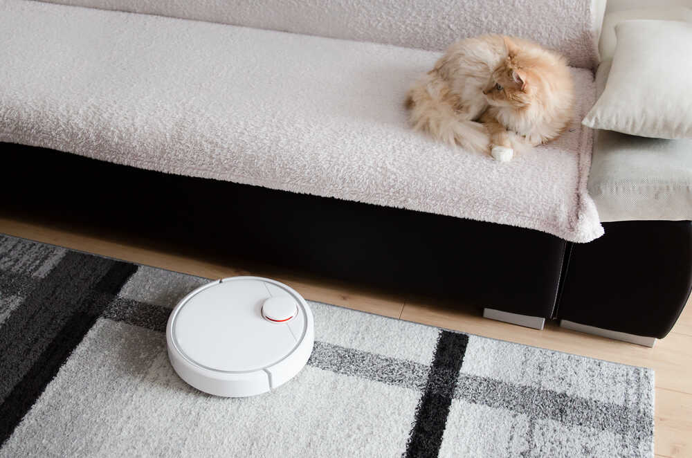 Robotic vacuum cleaning the room while cat sits on the sofa