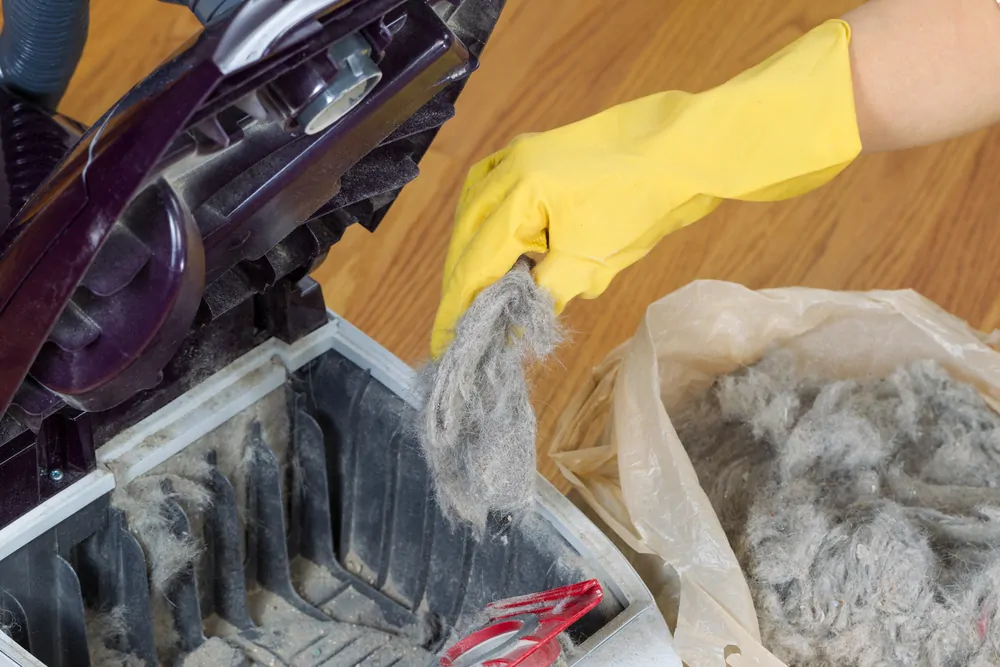 Removing dirt from vacuum cleaner to get rid of smell