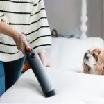 Woman using a handheld vacuum to remove dog hair on mattress