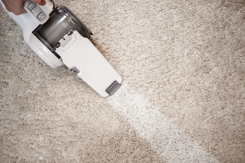 Cleaning the carpet a cordless handheld vacuum