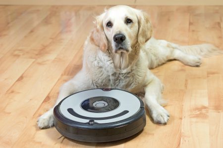 5 Best Roombas for Pet Hair (2023 Reviews) - Oh So Spotless