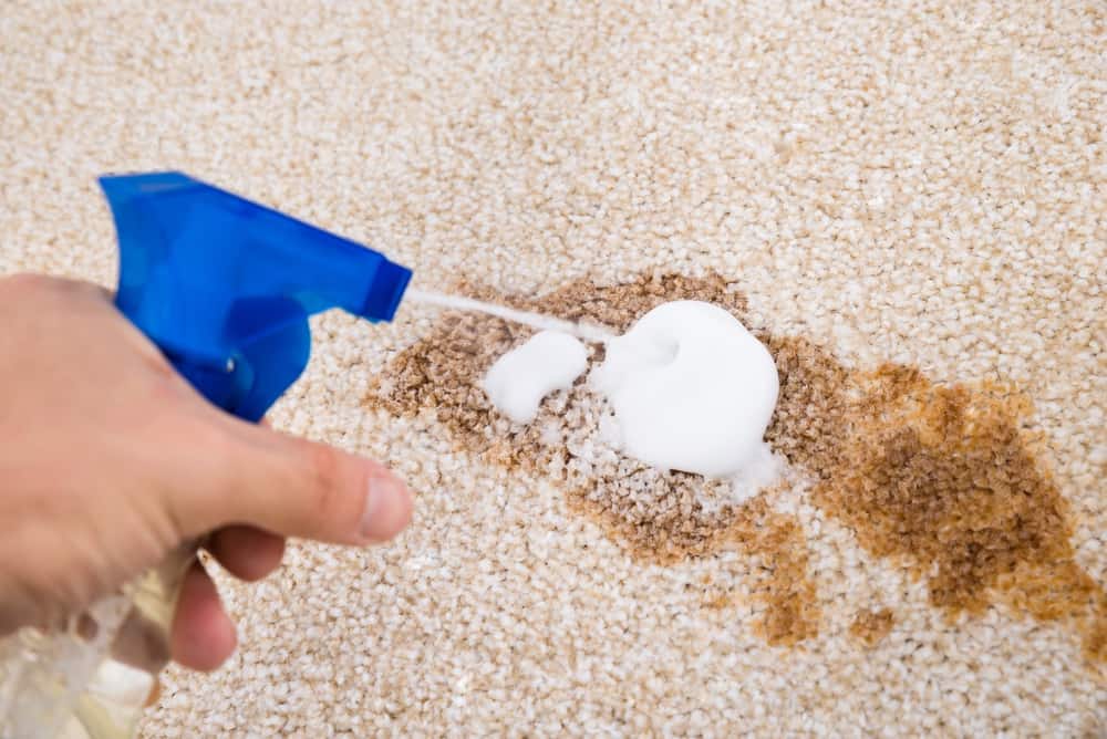 Cleaning carpet stain with the best carpet stain remover