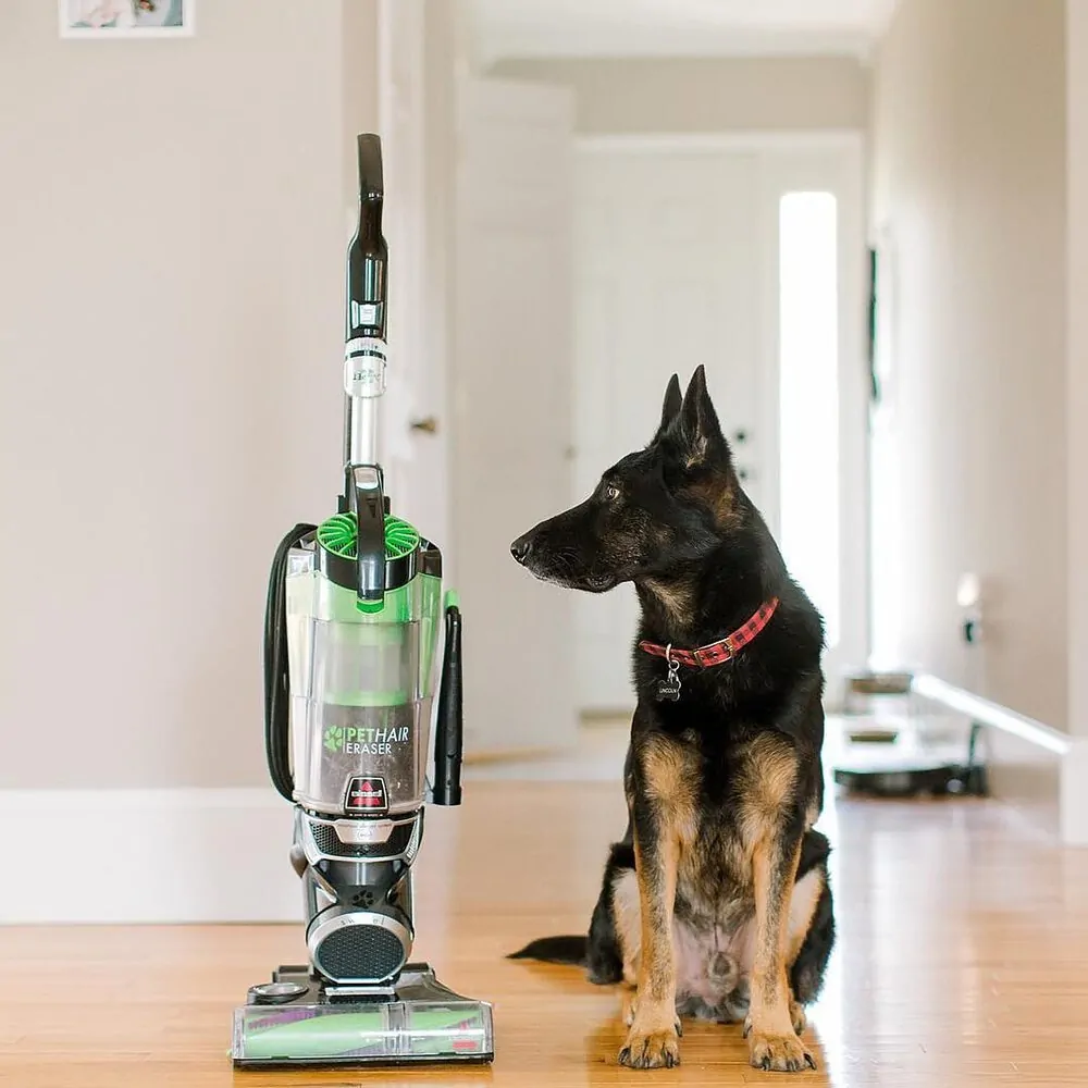 bissell vacuum and dog