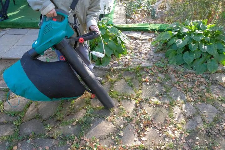 woman cleans leaves