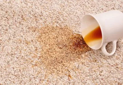 Spilled coffee on the carpet