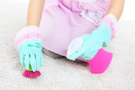 Woman cleaning mold off carpet