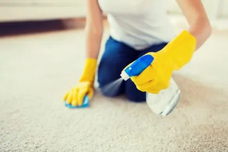 Woman cleaning smelly carpet