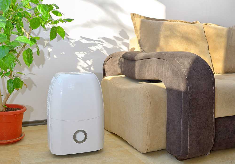Cheap air purifier in the living room