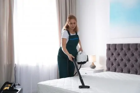 Getting rid of bed bugs with a steam cleaner