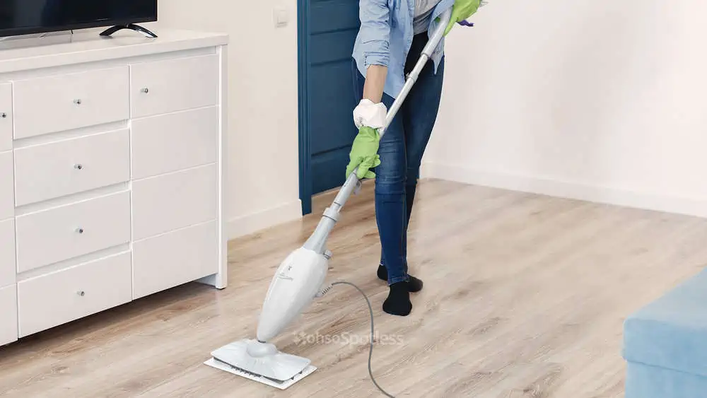 Photo of the Light ‘N’ Easy Floor Steamer