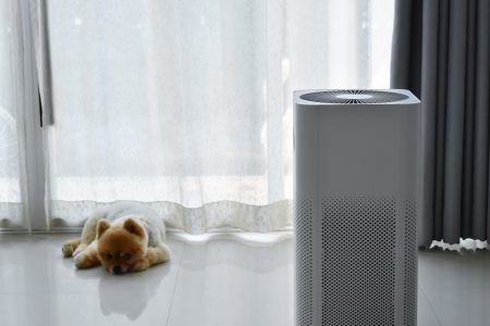 Air purifier for pet allergies and asthma