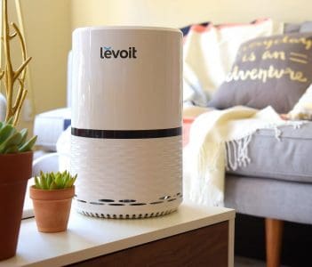 Living room air purifier for mold