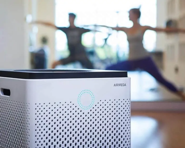 Air purifier for the whole house