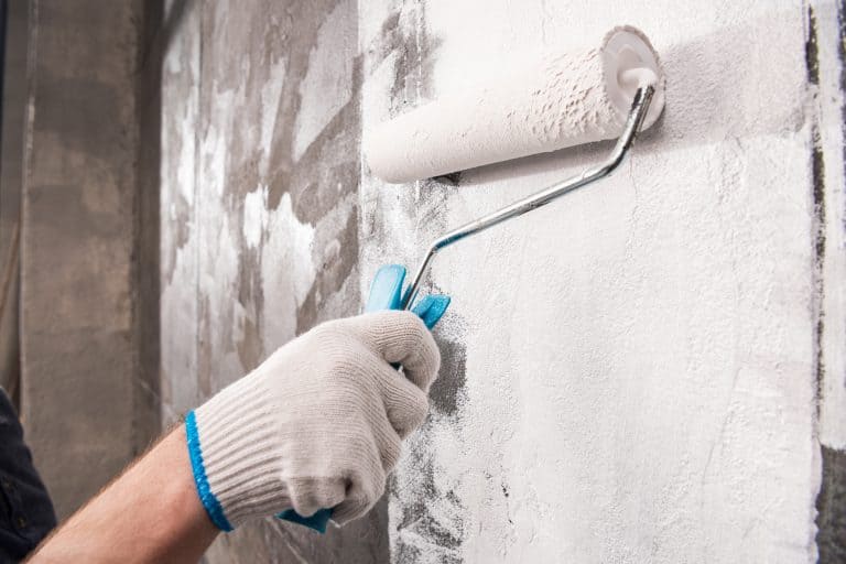 5 Best Mold and Mildew Resistant Paints (2022 Reviews) Oh So Spotless