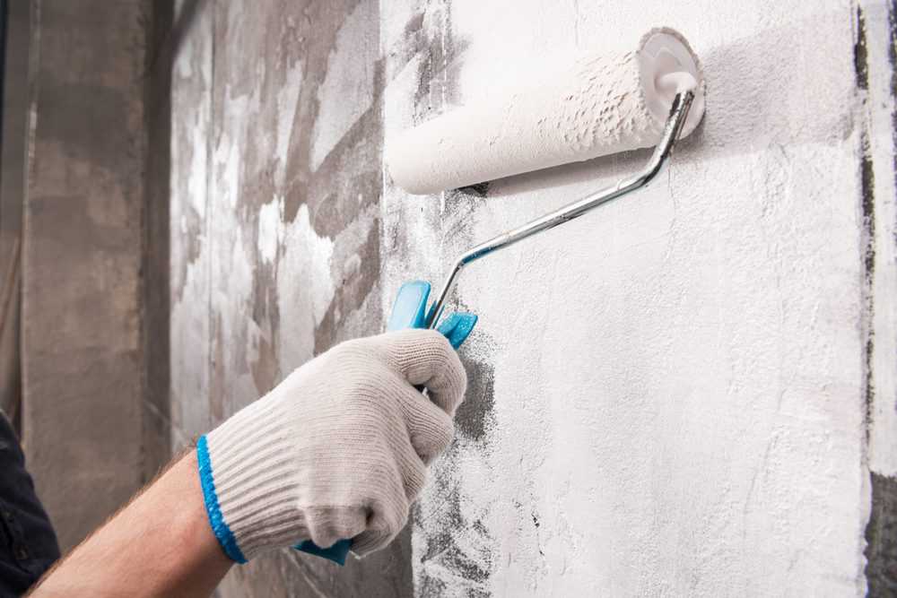 Painting wall with mold resistant paint