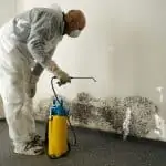 Man cleaning mold with mold fogger
