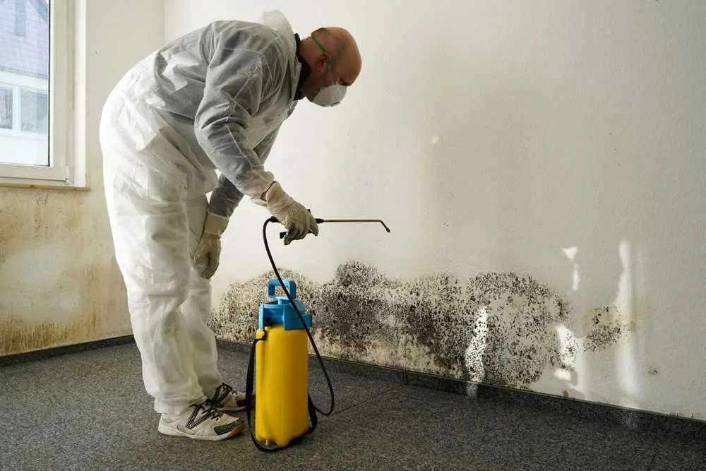 Man cleaning mold with mold fogger