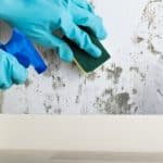 cleaning mold with mold remover solution