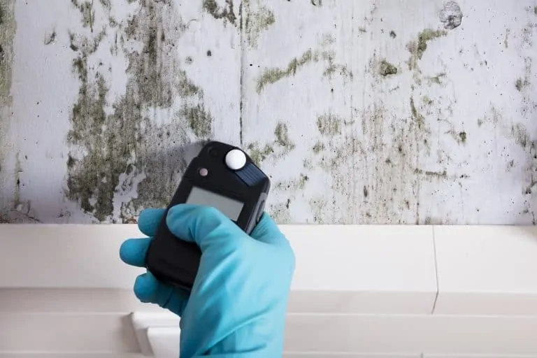 air testing for mold