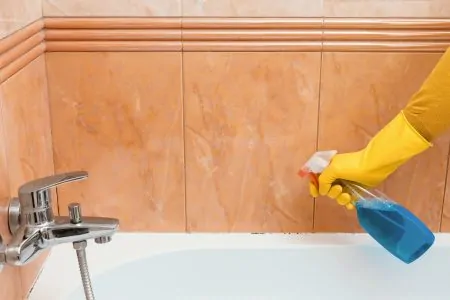 Cleaning mold from bathtub