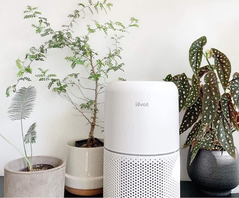 Is It Worth Buying an Air Purifier? 