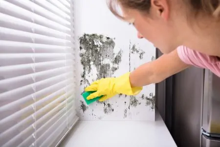 Woman cleaning mold from wall