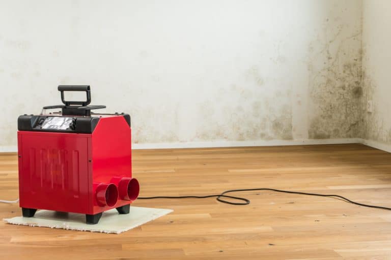 Dehumidifier in moldy basement