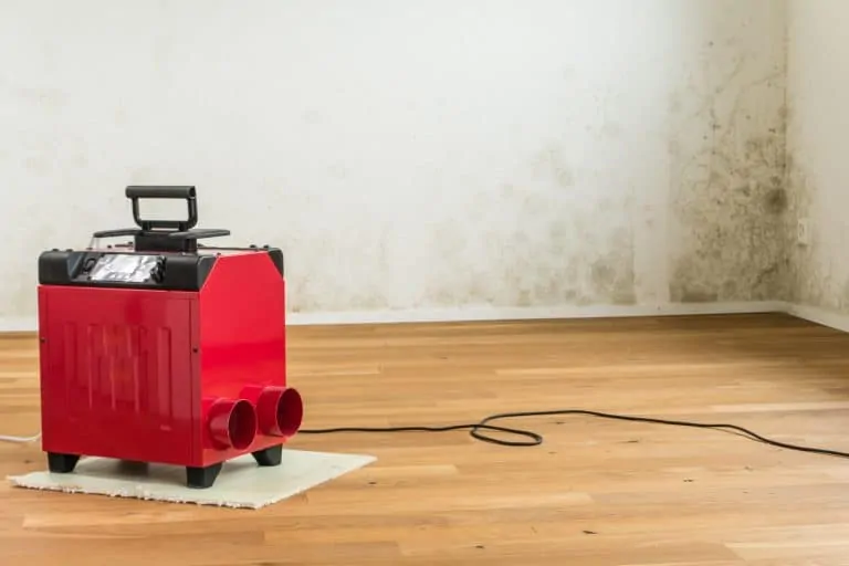 Dehumidifier in moldy basement