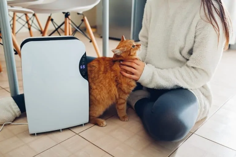 Woman sitting on the floor with a dehumidifier