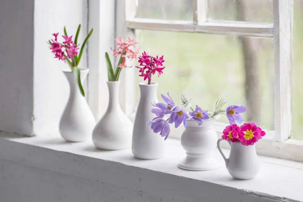 Flowers on windowsill