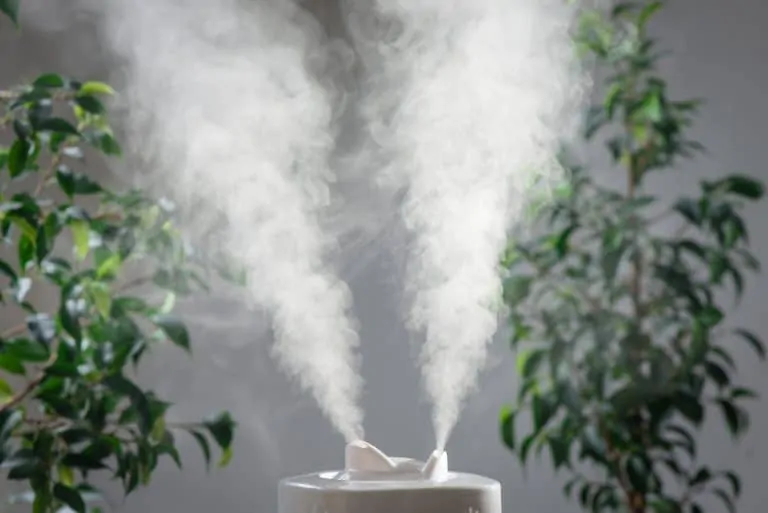 Increasing humidity with humidifier and houseplants