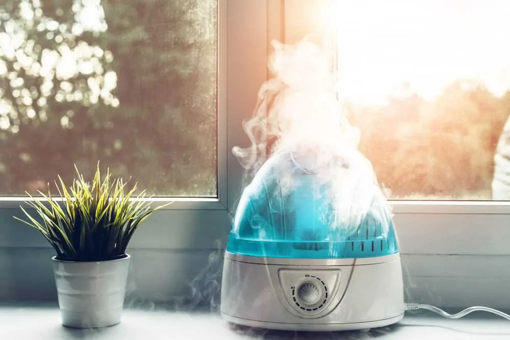 Cool-Mist Humidifier on Table