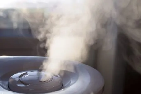 A cool mist humidifier