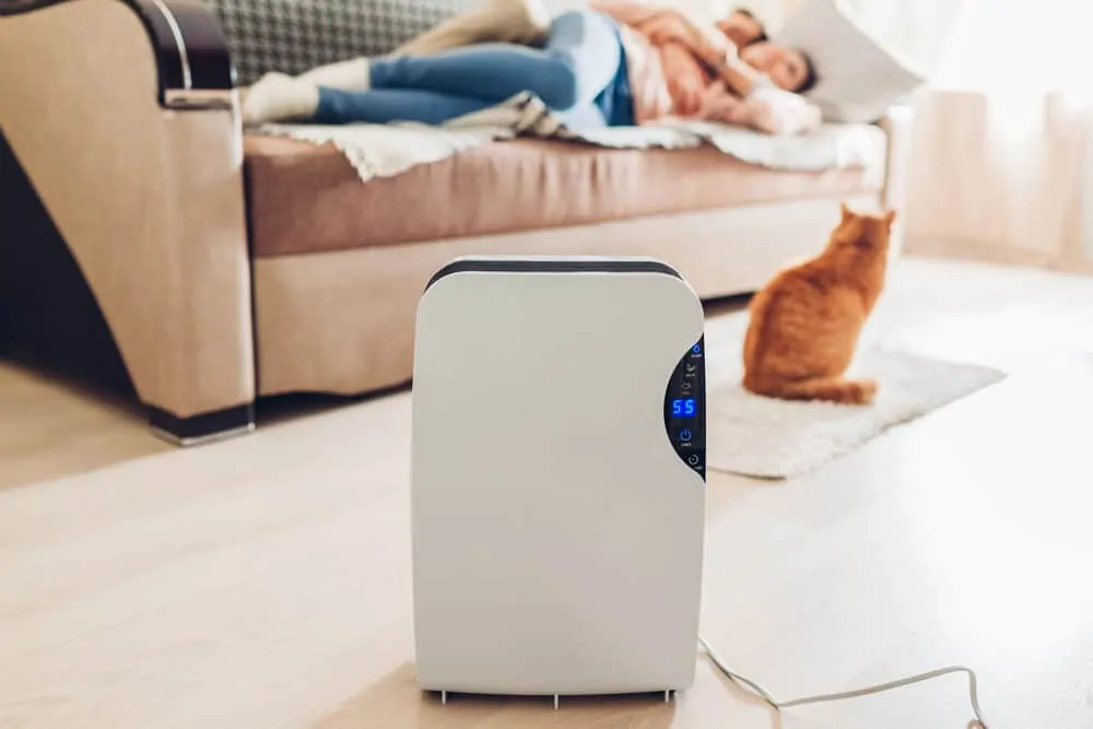 Couple using a dehumidifier in the living room