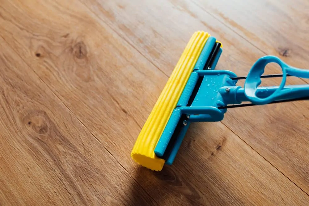 Sponge mop cleaning floor