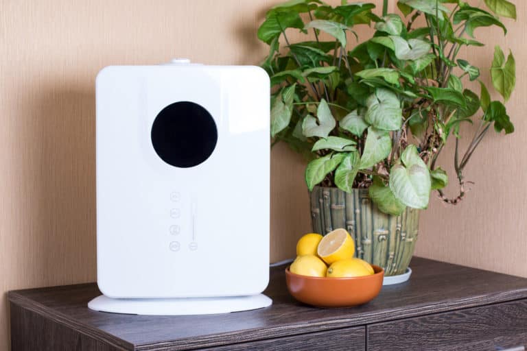 An air purifier humidifier