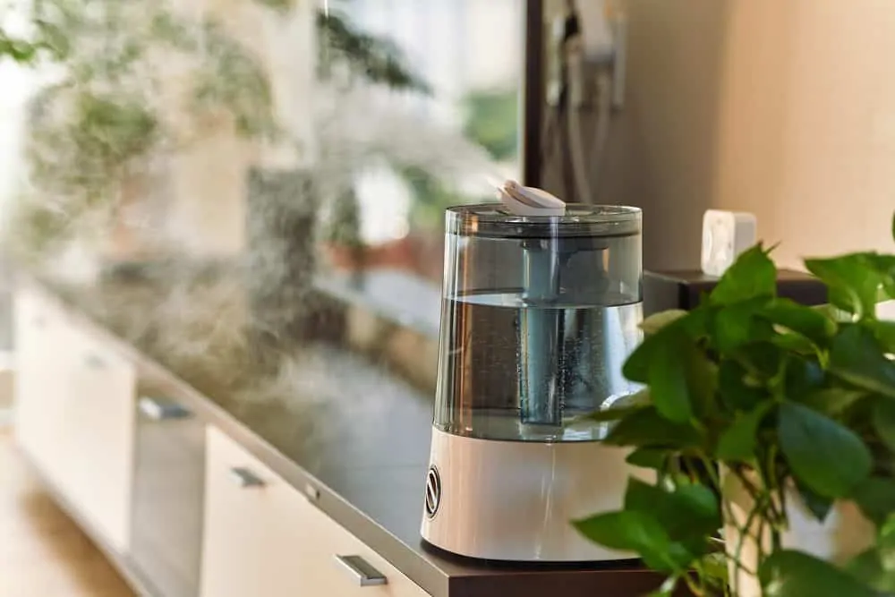 Ultrasonic cool mist humidifier in the living room