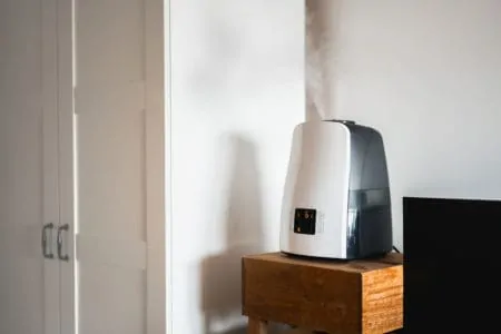 An warm mist humidifier in the living room