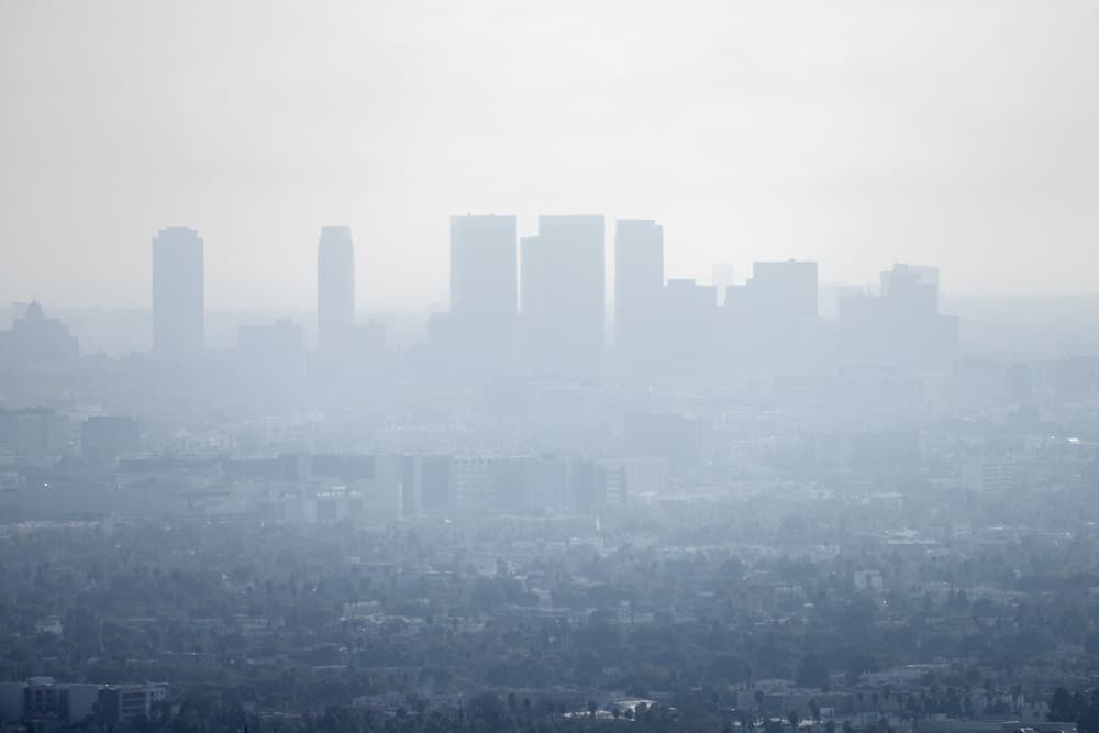 Los Angeles Smog