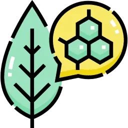 Use Plant-Based Enzymes Icon
