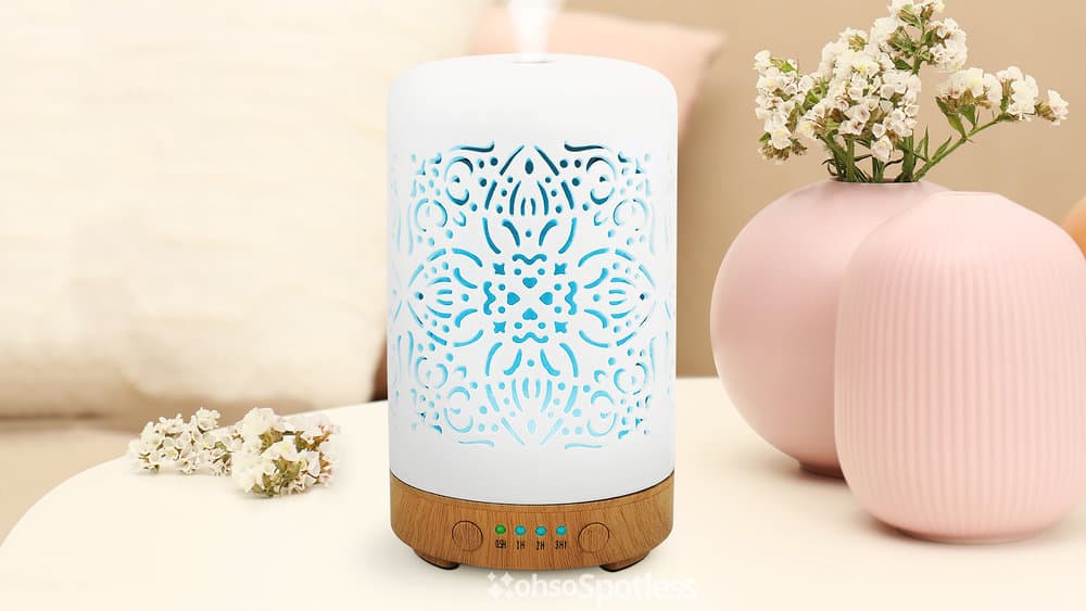 Photo of the Earnest Living White Ceramic Diffuser Humidifier
