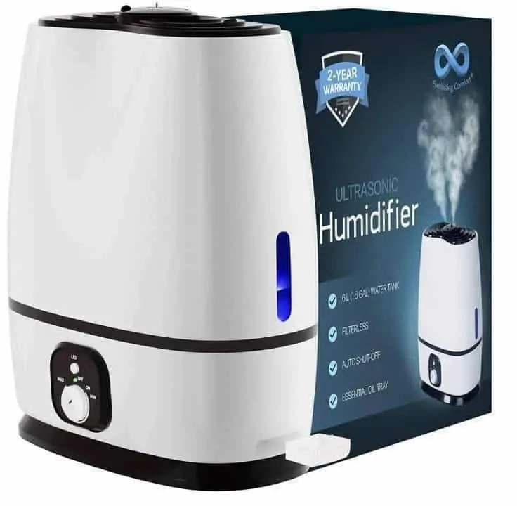 Product Image of the Everlasting Comfort Humidifier