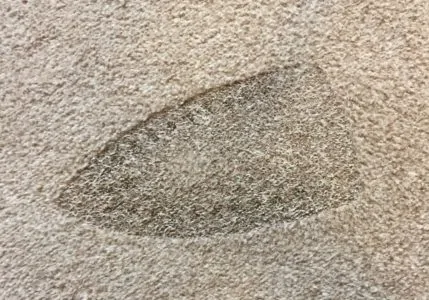 Iron burn mark on carpet