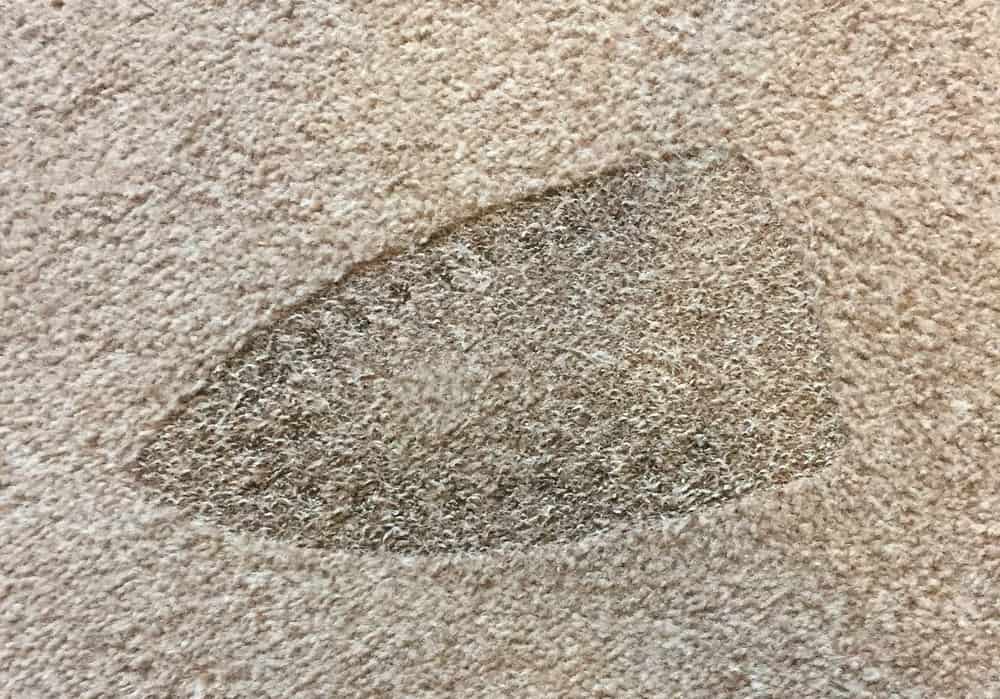 How To Get Burns Out Of Carpet 10