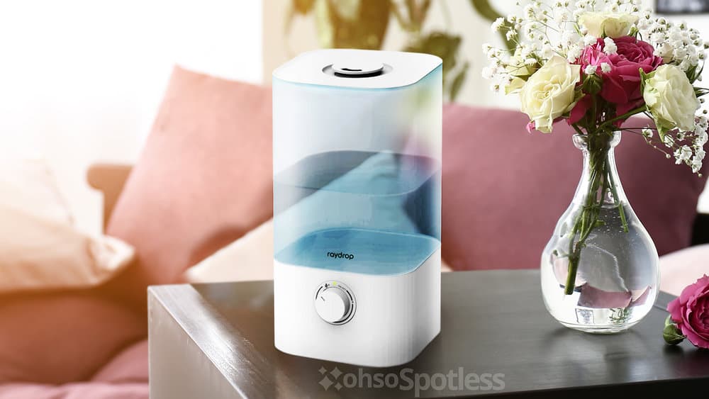 Photo of the Raydrop KC-RD05 2.5L Cool Mist Humidifier & Essential Oil Diffuser