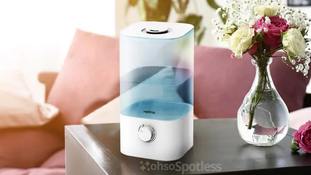 Photo of the Raydrop KC-RD05 2.5L Cool Mist Humidifier & Essential Oil Diffuser