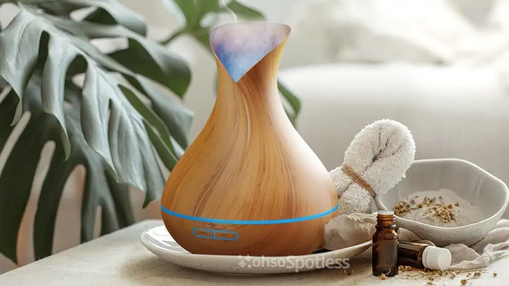 Photo of the Everlasting Comfort Diffuser for Essential Oils